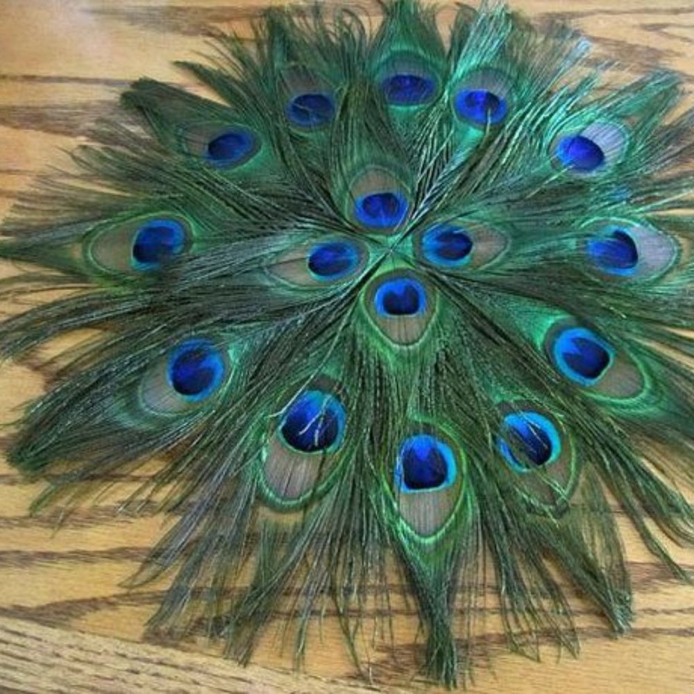 Peacock Feather Placemats
